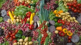 Seminaras „Vietos gamybos žemės ūkio ir maisto produktų vartojimo didinimas plėtojant trumpąsias maisto tiekimo grandines ir formuojant vietos maisto sistemas savivaldybių lygiu”