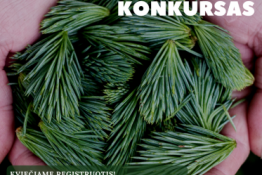 Tarptautinis floristinių kilimų konkursas