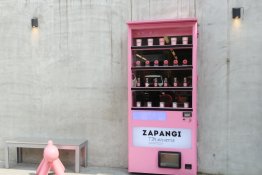 Sumanios socialinės paslaugos