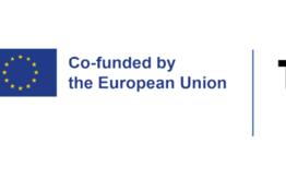 Projektas T.A.B - Innovation Hubs for Tech, Art and Business Technologijų, meno ir verslo inovacijų centrai